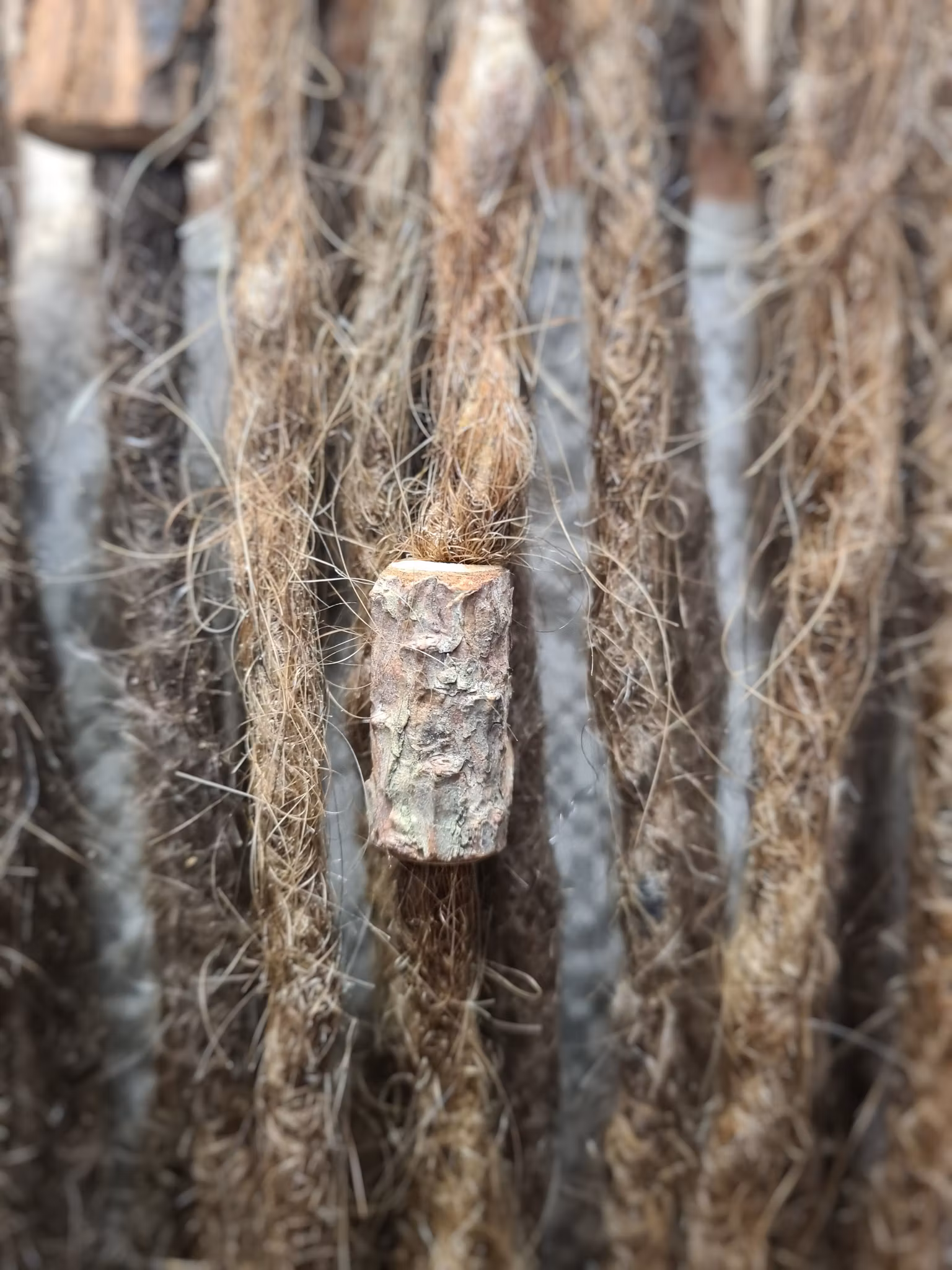 "Barkbit" - Trädekoration till dreads (6mm hål)