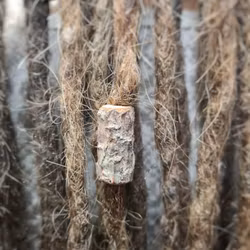 "Barkbit" - Trädekoration till dreads (6mm hål)