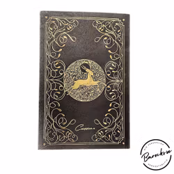 Cocorrina - Cosmic Wild Guidebok