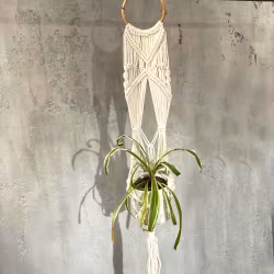 Makramé Ampel - Lång Med Rottingring