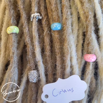 "Cirkus" Dreadsmycken Mix 5-pack