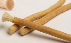 Miswak med hållare