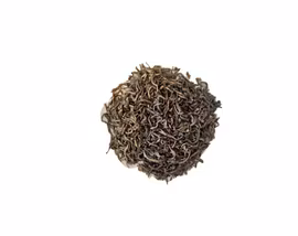 EKO Jasmin-Mao Jian