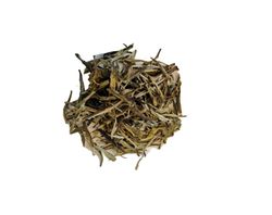 Vitt te Pine Needles