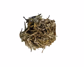 Vitt te Pine Needles