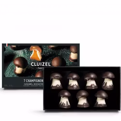 Cluizel Kolasvampar i ask
