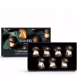 Cluizel Kolasvampar i ask