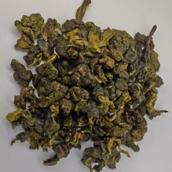 Osmanthus oolong