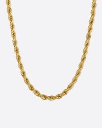2 st 5 mm Halsband Cordell 50 och 60cm Guld