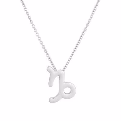 Necklace Zodiac sign