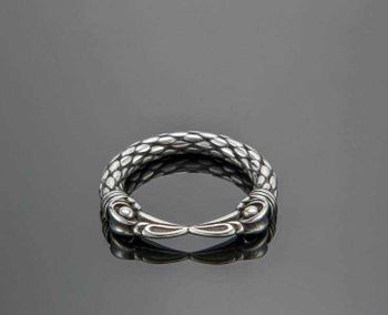 Ring Munin