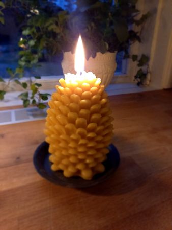 Bivaxljus-Stor Kotte