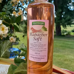 Saft - Rabarber