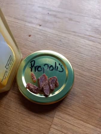 Honung med Propolis