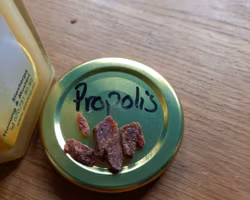 Honung med Propolis