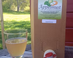 Äppelmust Bag-in-box 3 Liter - Santana