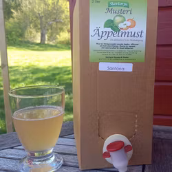 Äppelmust Bag-in-box 3 Liter - Santana