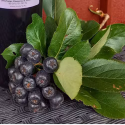 Aroniajos - Bara Aronia 500 ml