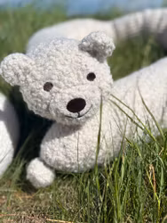 Snuggly Bear