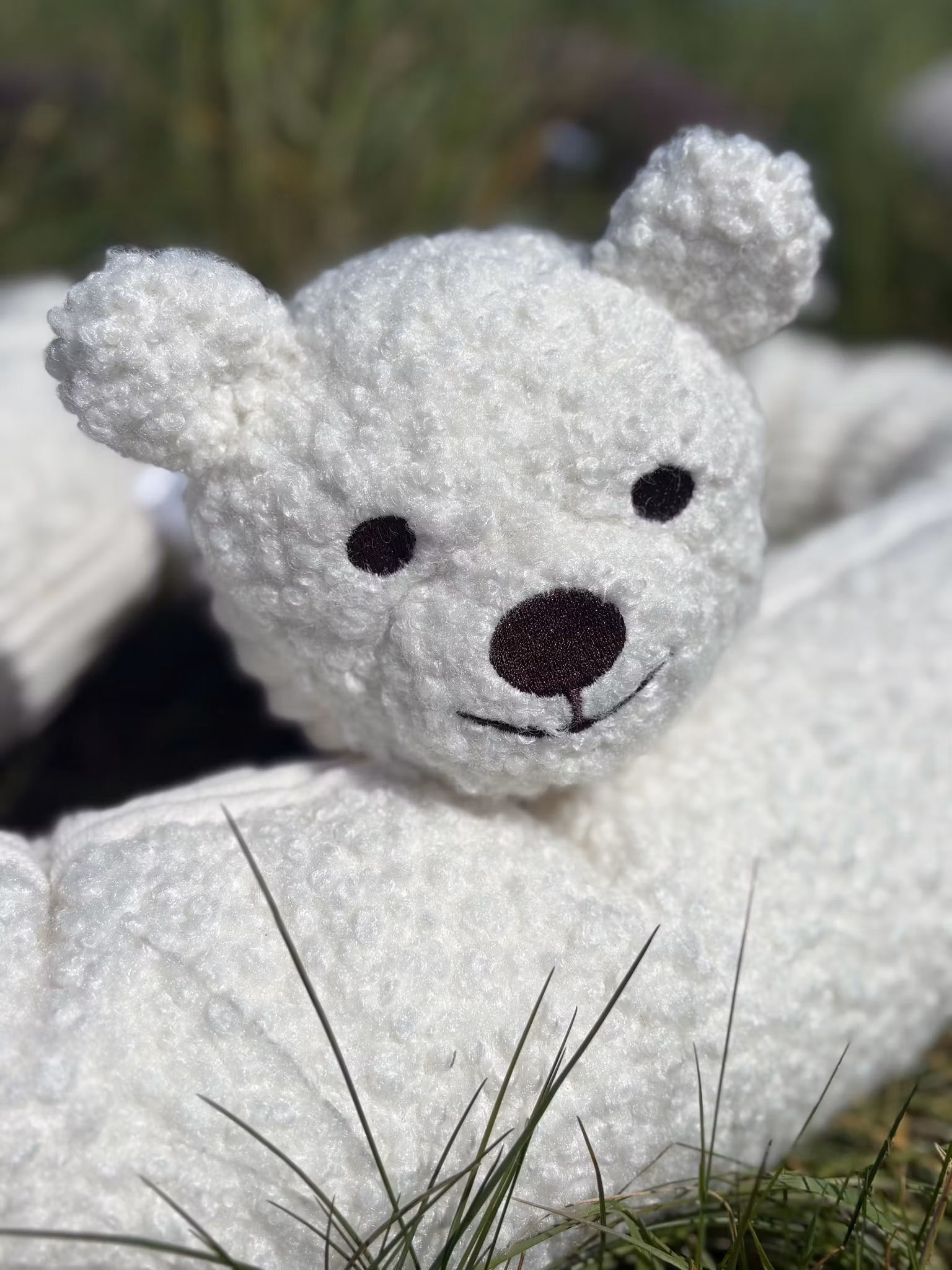 Snuggly Bear