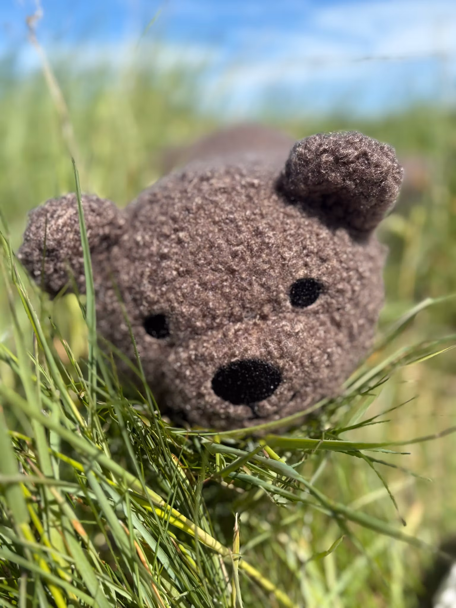 Snuggly Bear