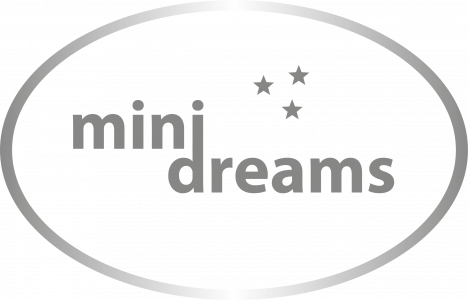 Mini Dreams