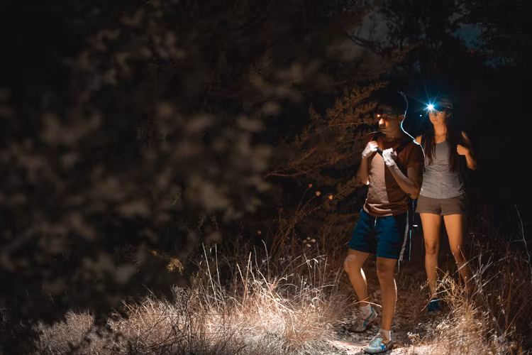 NEBO Mycro pannlampa/Kepslampa, 400 Lumen - Demoex