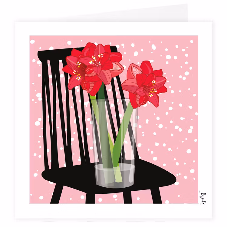 Amaryllis