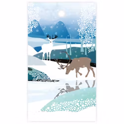 Litet kort - fjället