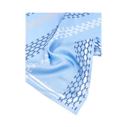HÉST  " Isadora Silk Scarf " , Skyway