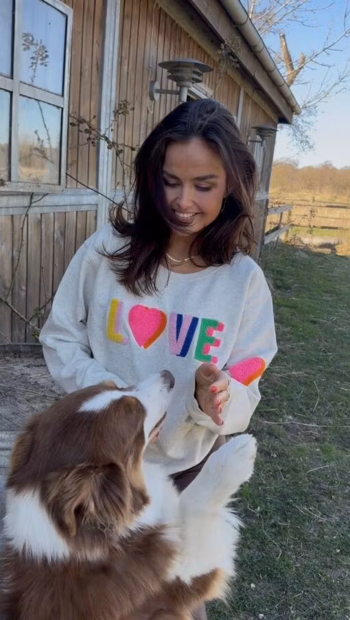 Rosas Sweater " LOVE " , Grey melange