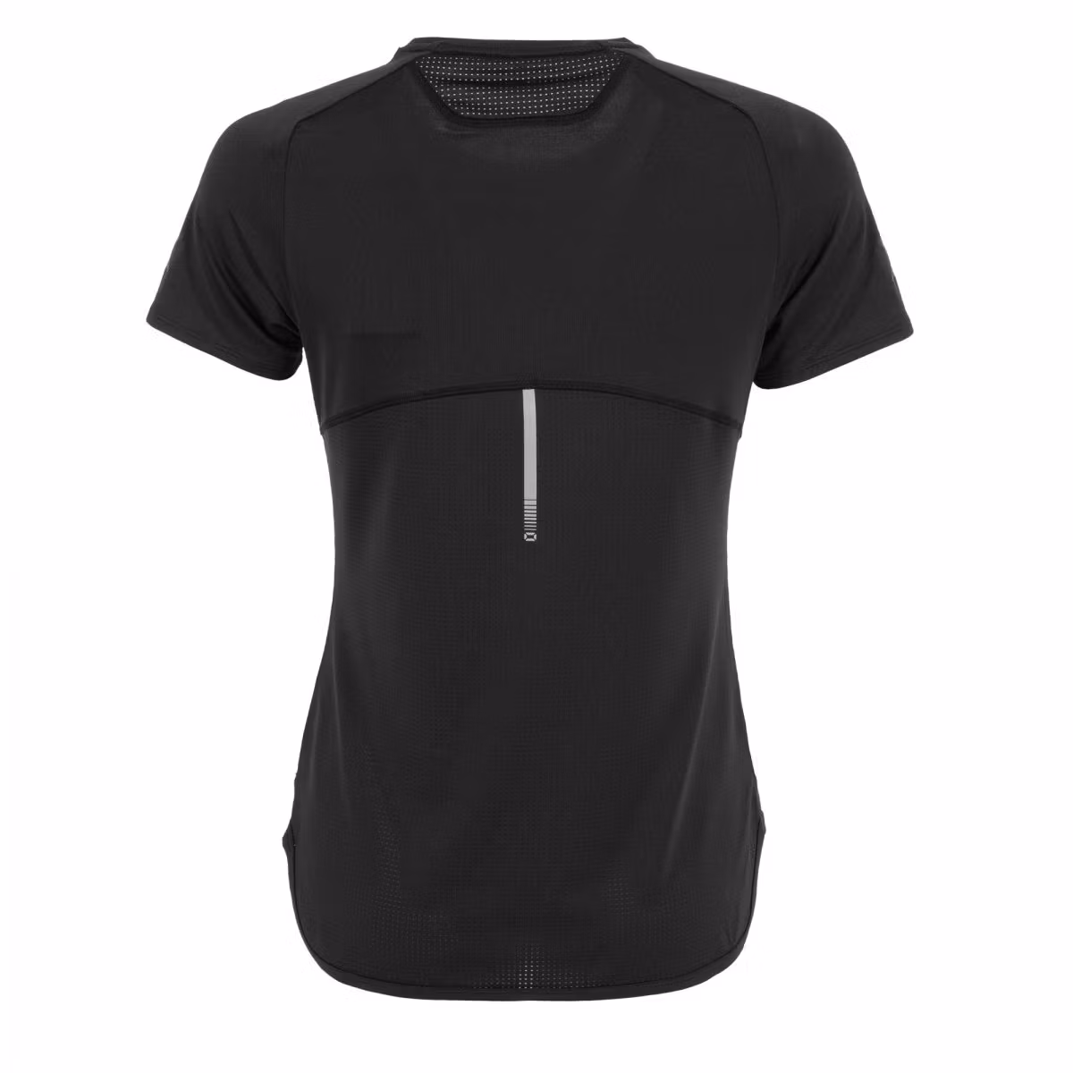 Eminent Stanno Functionals Tränings T-Shirt Dam