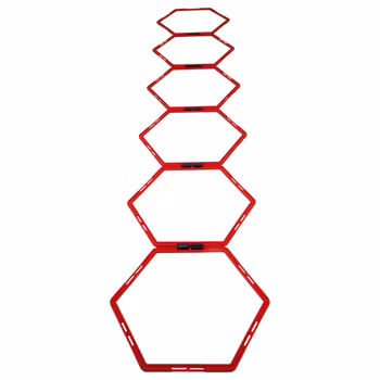 HEXAGON KOORDINATIONS-NÄT