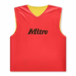 MITRE Pro Rev Training Bib