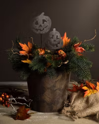 Pumpa stick till blomma (päron formade pumpan)