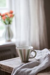 Majas Mugg randigt mönster