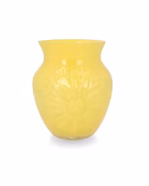 Vas Nona gul