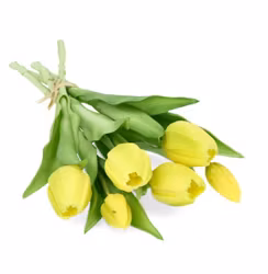 Konstväxt Tulpanbukett Gul