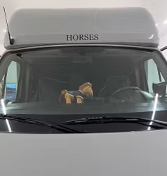 Dekal ”HORSES”