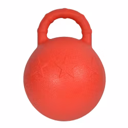 HS Aktivitetsboll