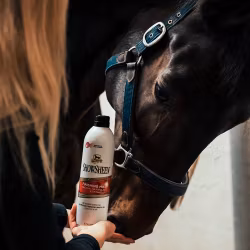 Absorbine ShowSheen Finishing Mist