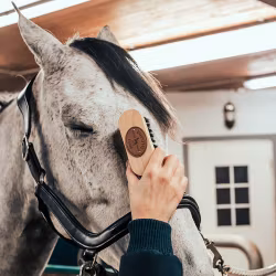 BORSTIQ FARM Pannborste PP