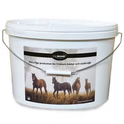 Equibiome Stallhink med lock
