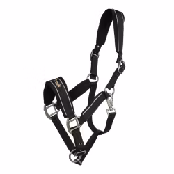 Back on Track "Werano" Grimma Reflex