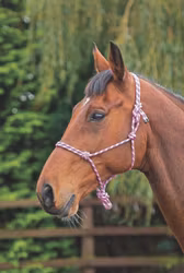 Shires Repgrimma, One Size