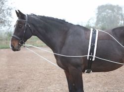 Shires Longeringssystem Black One Size