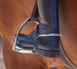 Shires Kulsporre