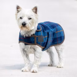 DIGBY & FOX Navy Tweed Hundtäcke