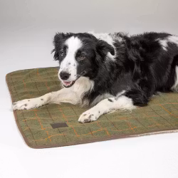 DIGBY & FOX Tweed Hundfilt