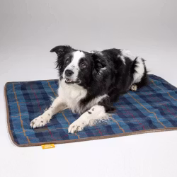 DIGBY & FOX Navy Tweed Hundfilt